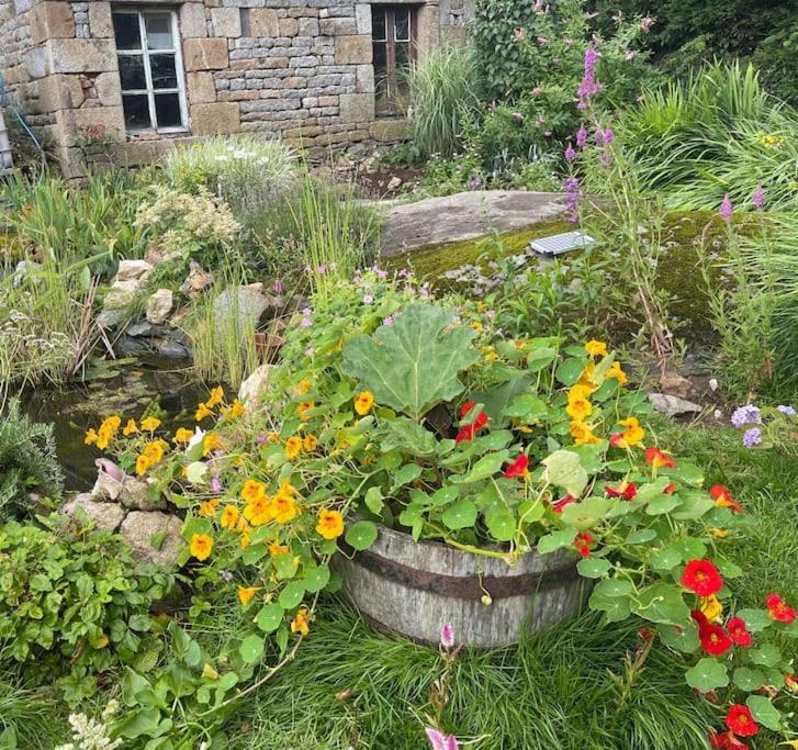 Le Petit Fleur - The Little Flower, Cosy Cottage Saint-Michel-de-Montjoie 外观 照片
