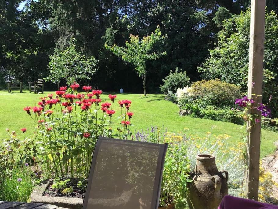 Le Petit Fleur - The Little Flower, Cosy Cottage Saint-Michel-de-Montjoie 外观 照片