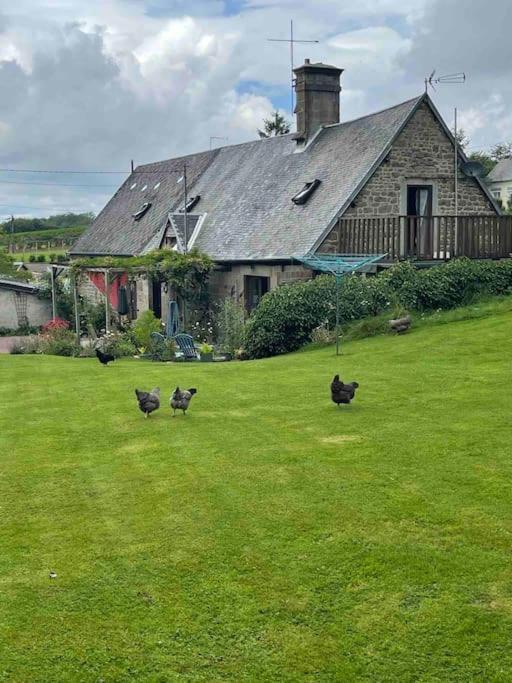 Le Petit Fleur - The Little Flower, Cosy Cottage Saint-Michel-de-Montjoie 外观 照片